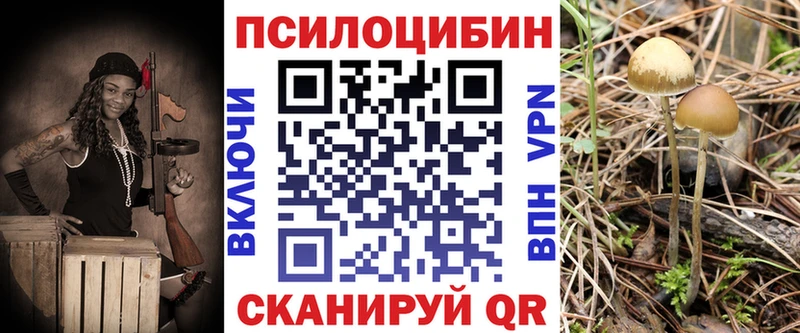 Галлюциногенные грибы Psilocybine cubensis  Среднеуральск 